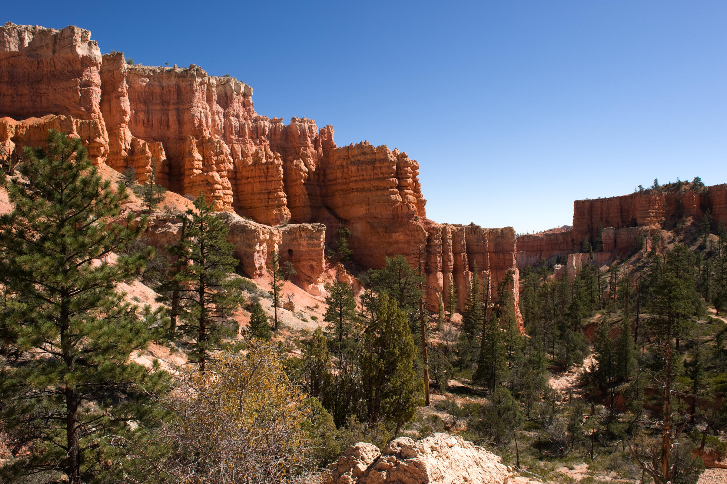 DSC 5442