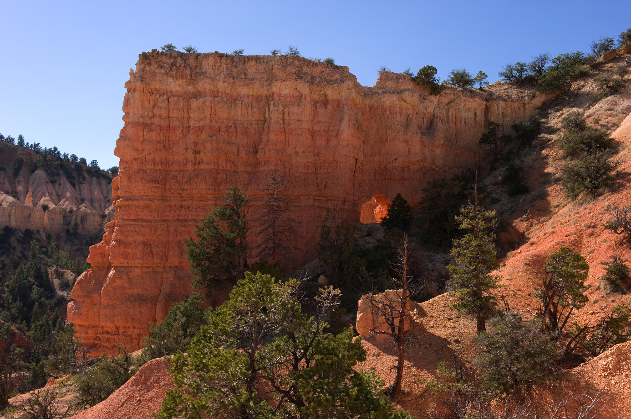 DSC 5468