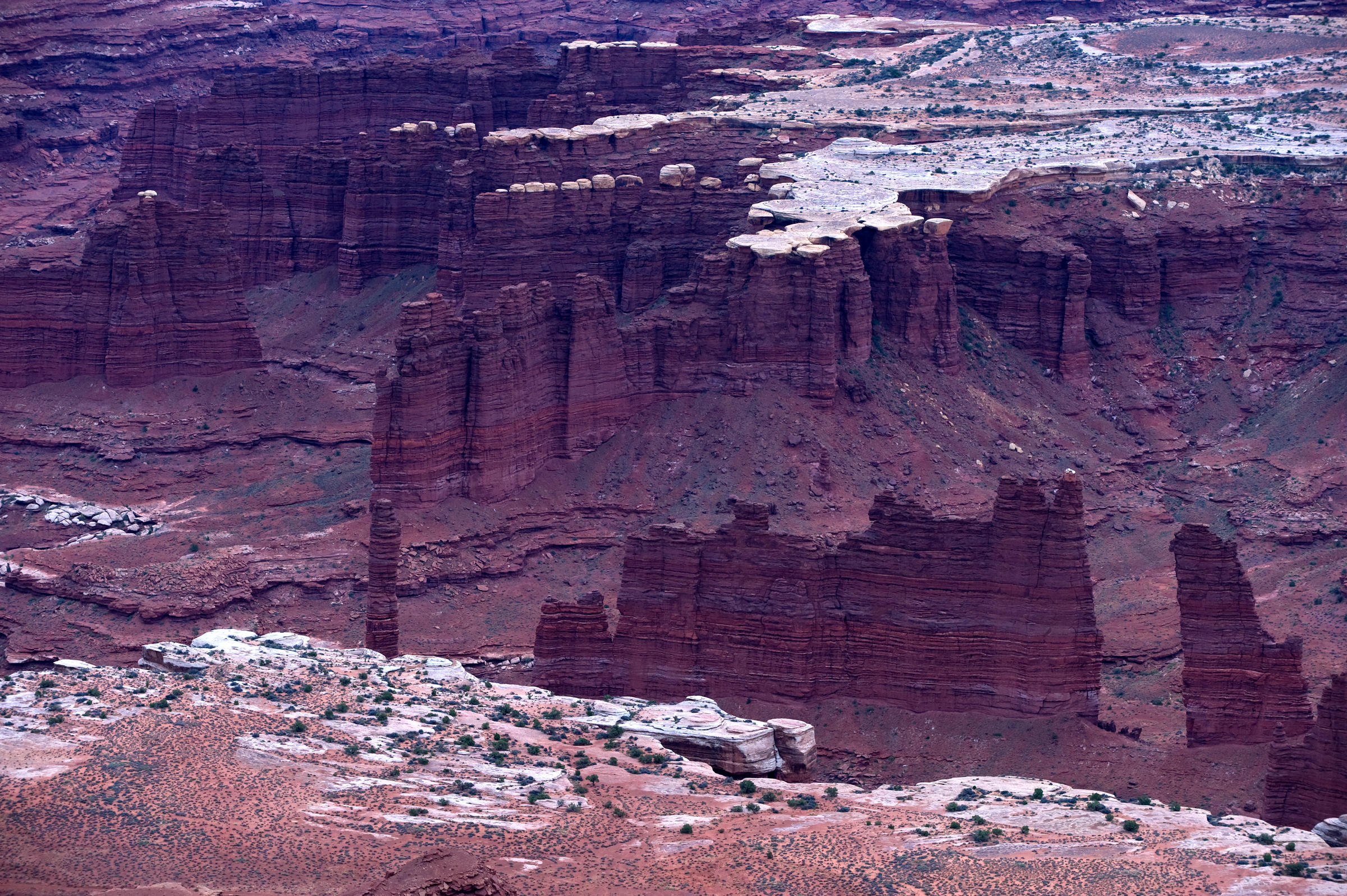 DSC 7557