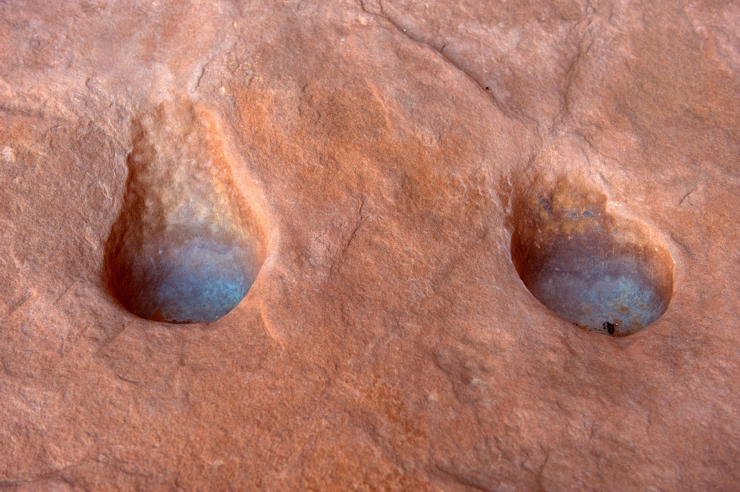 DSC 8310