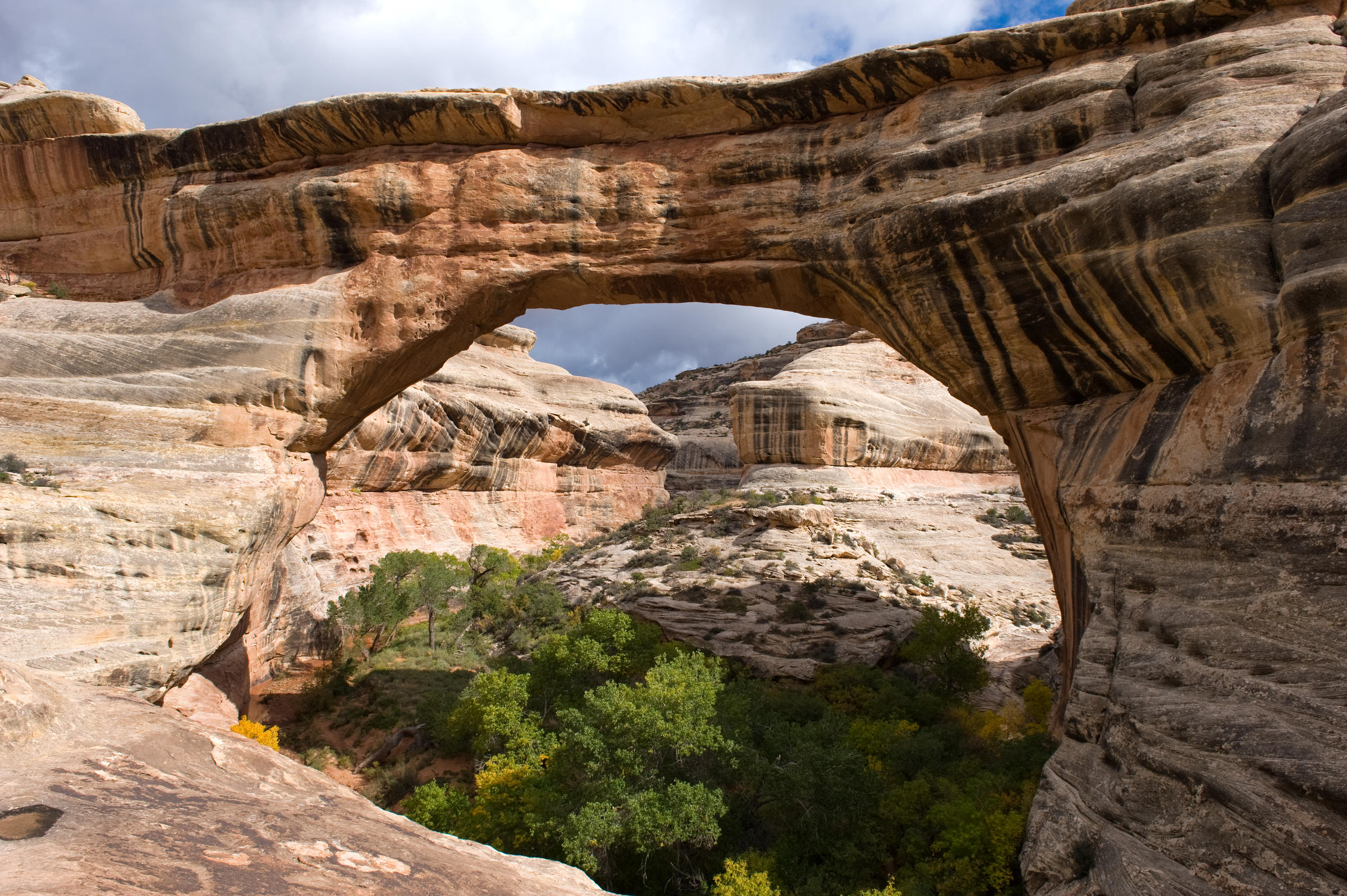 Natural Bridges