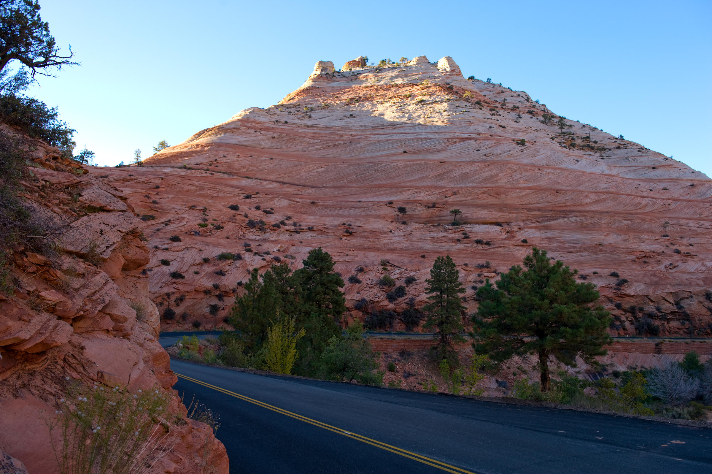 DSC 4711
